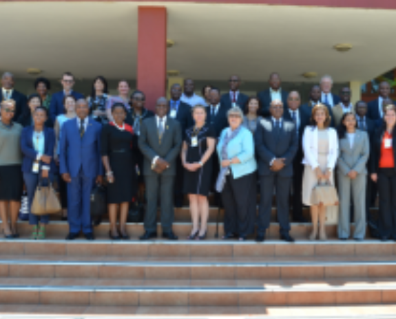 Mozambique Instituto de Directores de Moçambique